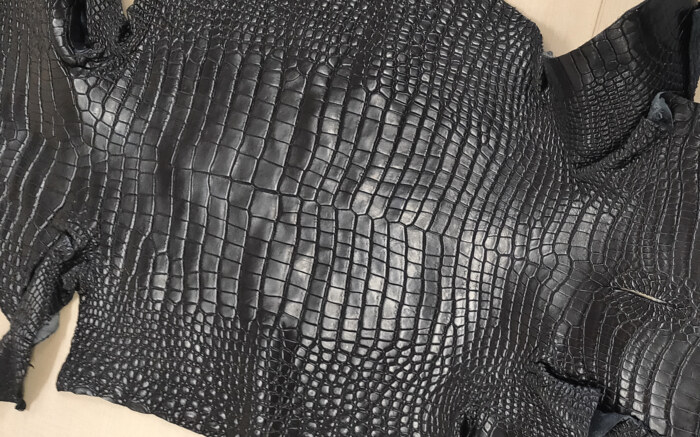 crocodile-leather