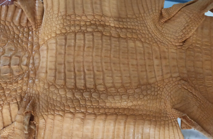 caiman-corocodile-leather