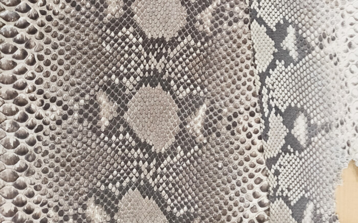 snake-leather